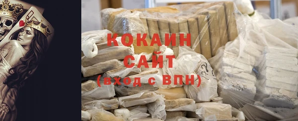 индика Верхний Тагил