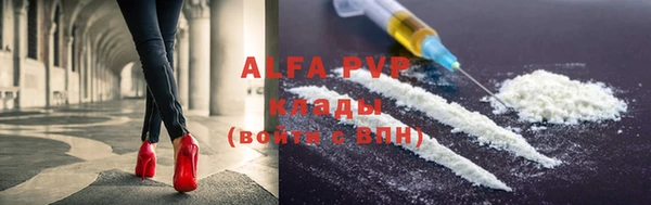 индика Верхний Тагил
