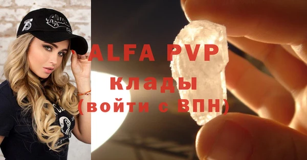 индика Верхний Тагил