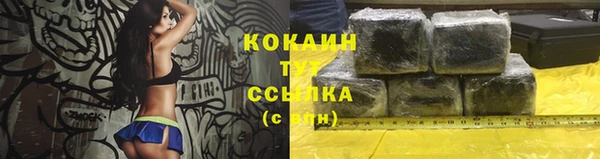 индика Верхний Тагил