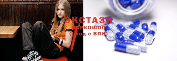 индика Верхний Тагил
