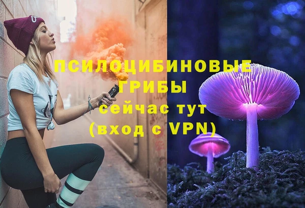 индика Верхний Тагил