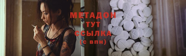 индика Верхний Тагил
