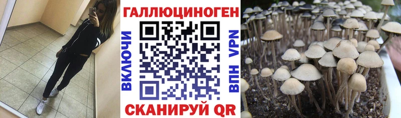 хочу   Полтавская  omg ссылки  Галлюциногенные грибы мухоморы 